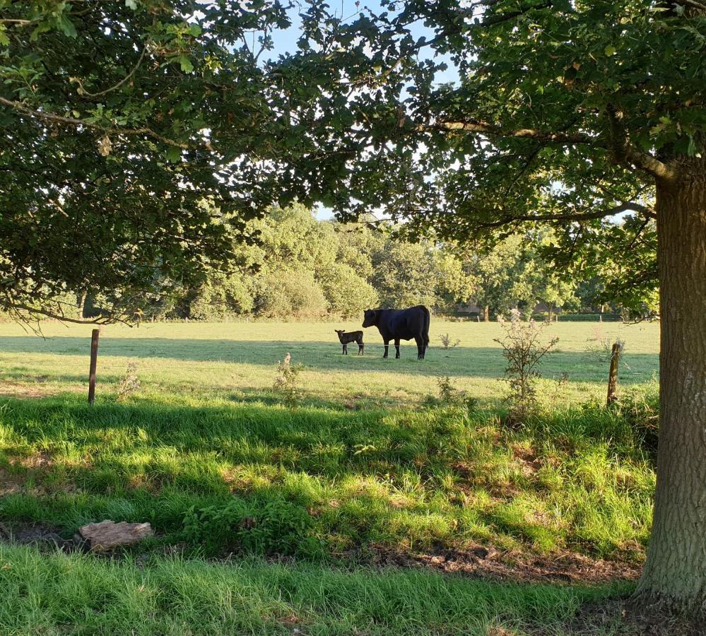 B&B De Scherpenhof Leur Exteriér fotografie