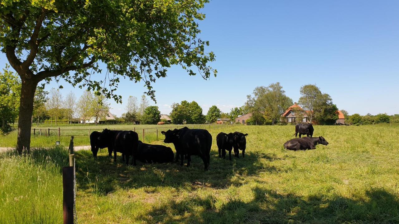 B&B De Scherpenhof Leur Exteriér fotografie